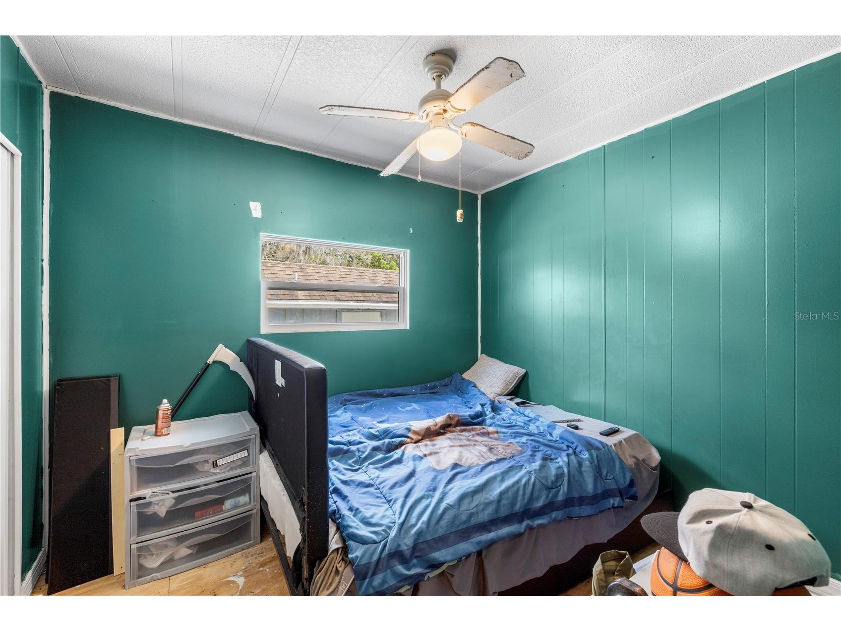 3822 Alice Drive Wesley Chapel FL 33543 TB8485069 image10