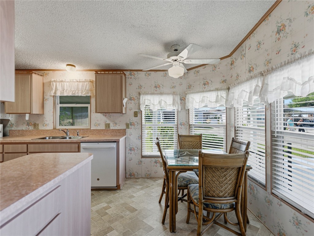 3822 Damian Drive Zephyrhills FL 33541 TB8441377 image15