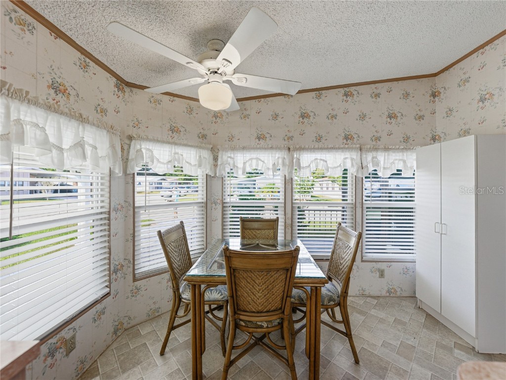 3822 Damian Drive Zephyrhills FL 33541 TB8441377 image16