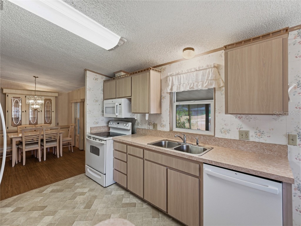 3822 Damian Drive Zephyrhills FL 33541 TB8441377 image18