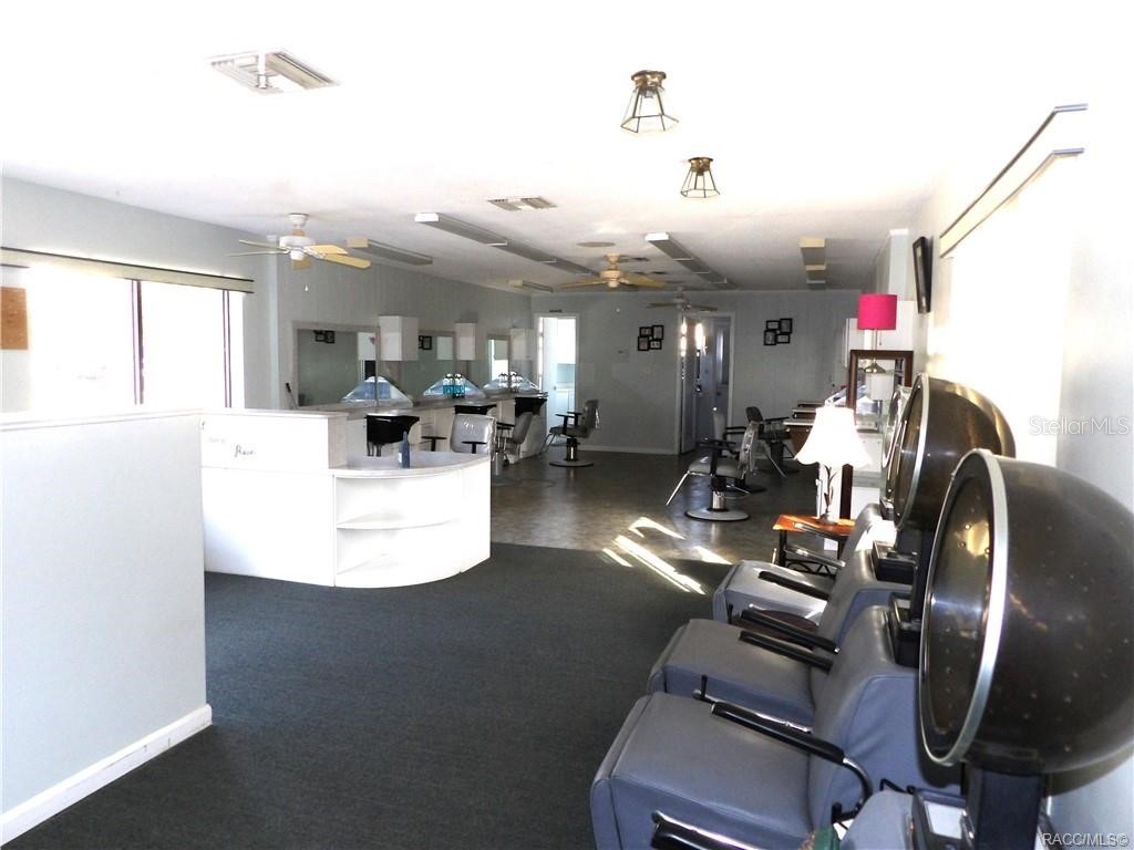 3822 E Parsons Point Road Hernando FL 34442 OM725213 image7