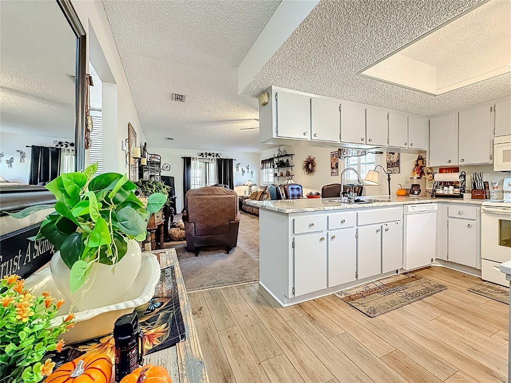 38225 Boxwood Drive #38225 Zephyrhills FL 33542 TB8450024 image5