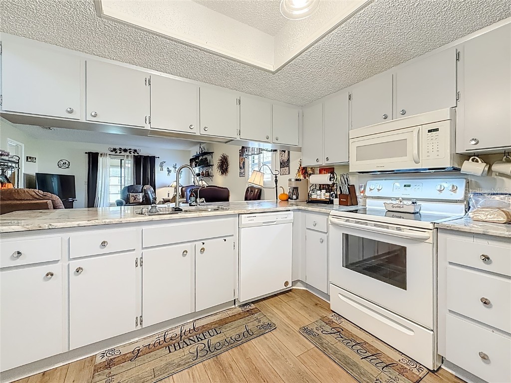 38225 Boxwood Drive #38225 Zephyrhills FL 33542 TB8450024 image9