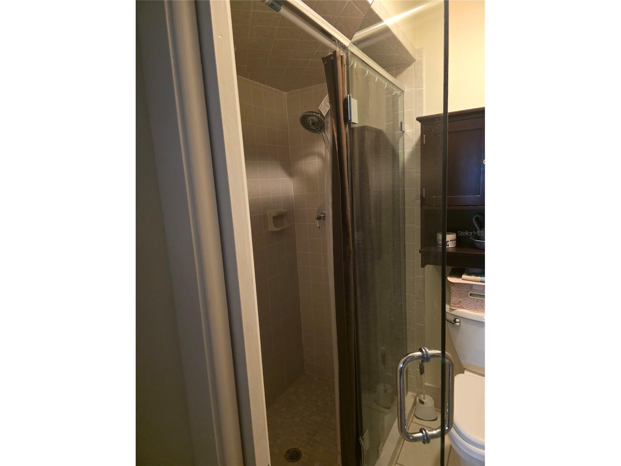 38225 Boxwood Drive #NA Zephyrhills FL 33542 TB8488368 image6