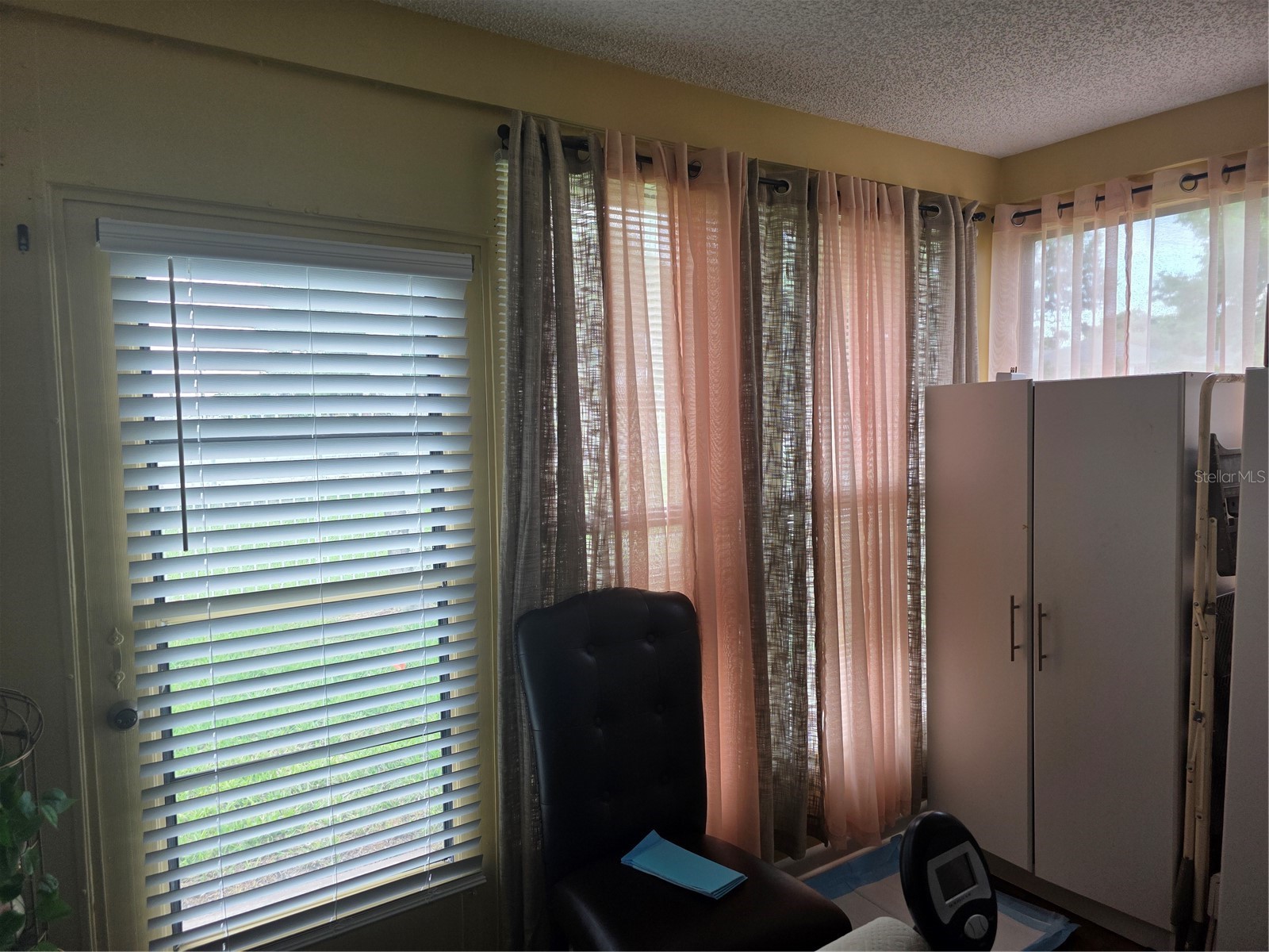 38225 Boxwood Drive #NA Zephyrhills FL 33542 TB8488368 image9