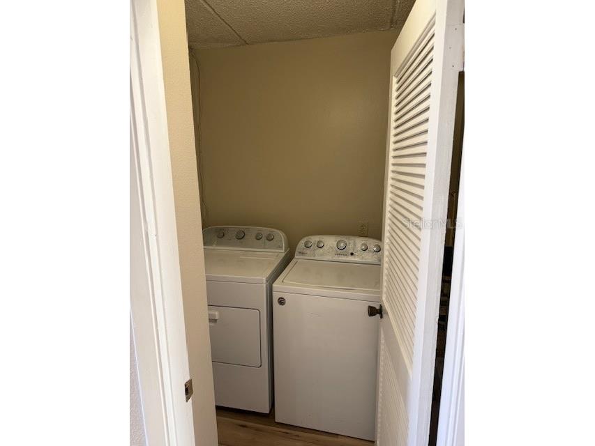 3823 N Oak Drive #K11 Tampa FL 33611 TB8465080 image16