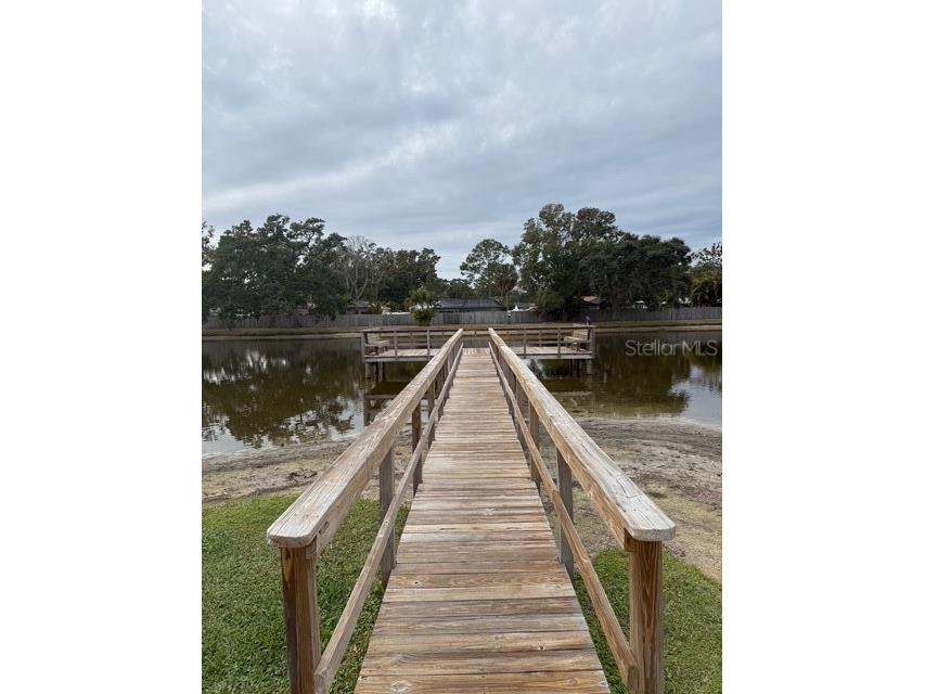 3823 N Oak Drive #K11 Tampa FL 33611 TB8465080 image19