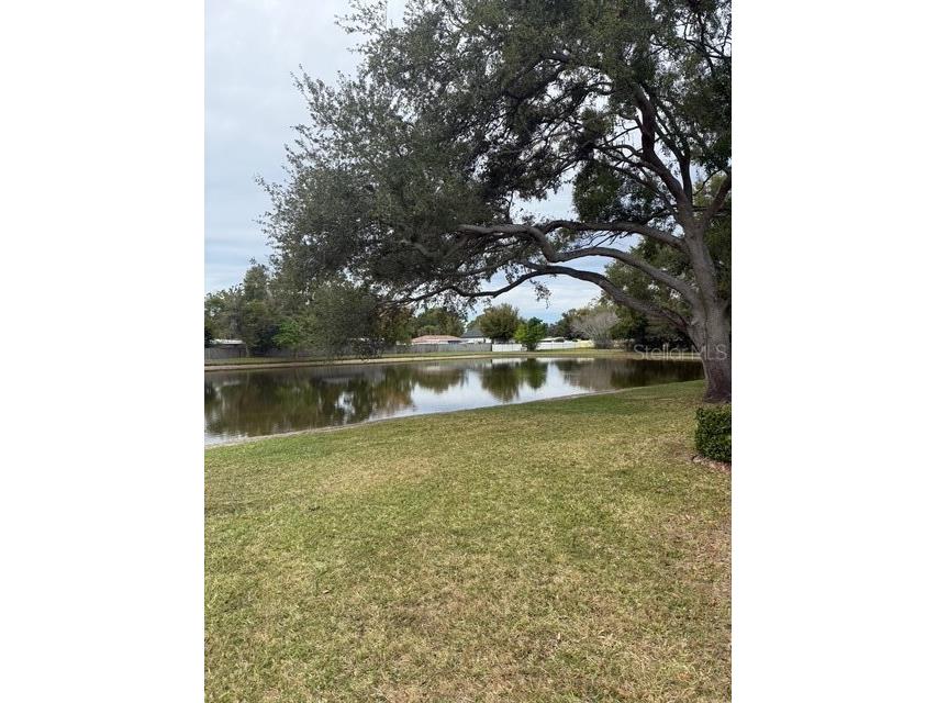 3823 N Oak Drive #K11 Tampa FL 33611 TB8465080 image20