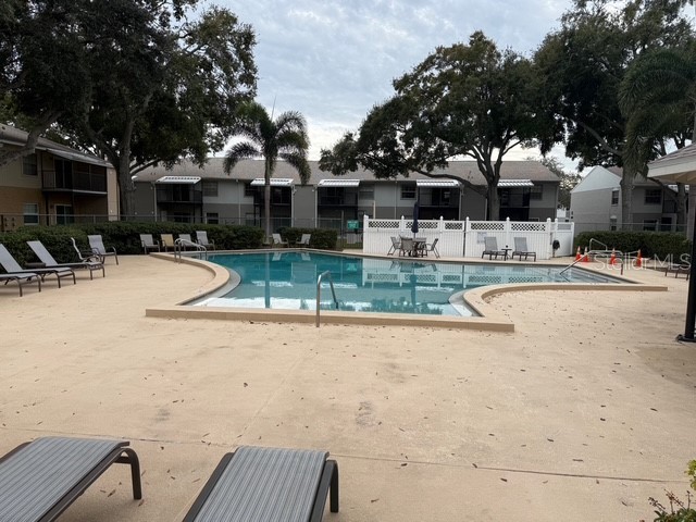 3823 N Oak Drive #K11 Tampa FL 33611 TB8465080 image22