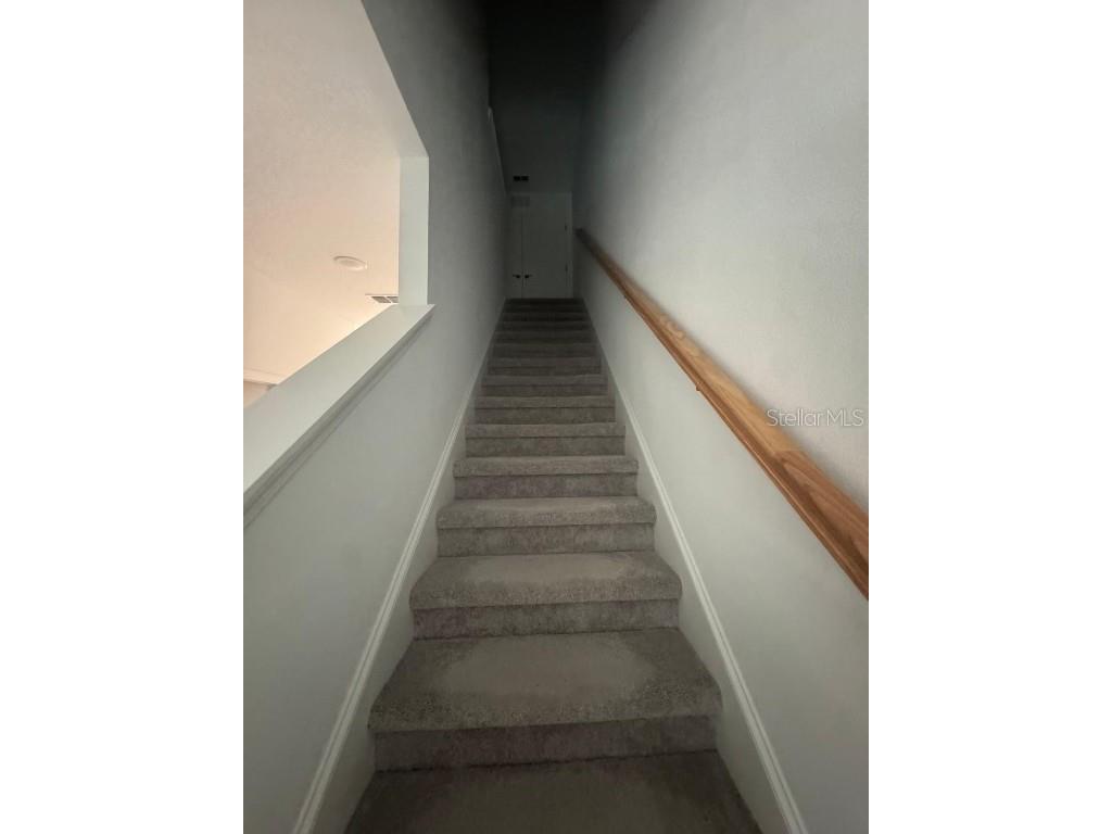 3823 Sepia Street Kissimmee FL 34758 S5128195 image8