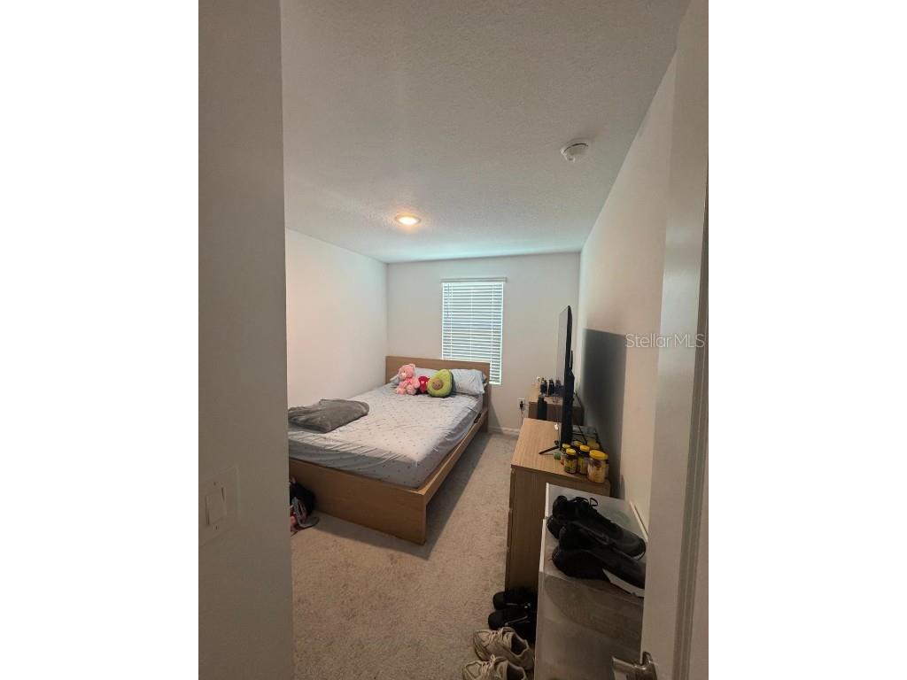 3823 Sepia Street Kissimmee FL 34758 S5128195 image9