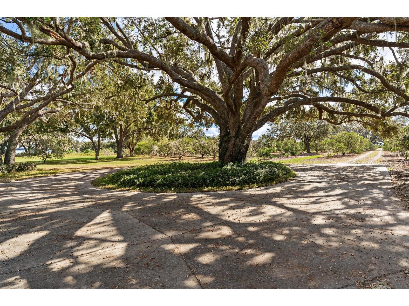 38230 Yale Circle Leesburg FL 34788 - YALE G5089826 image57