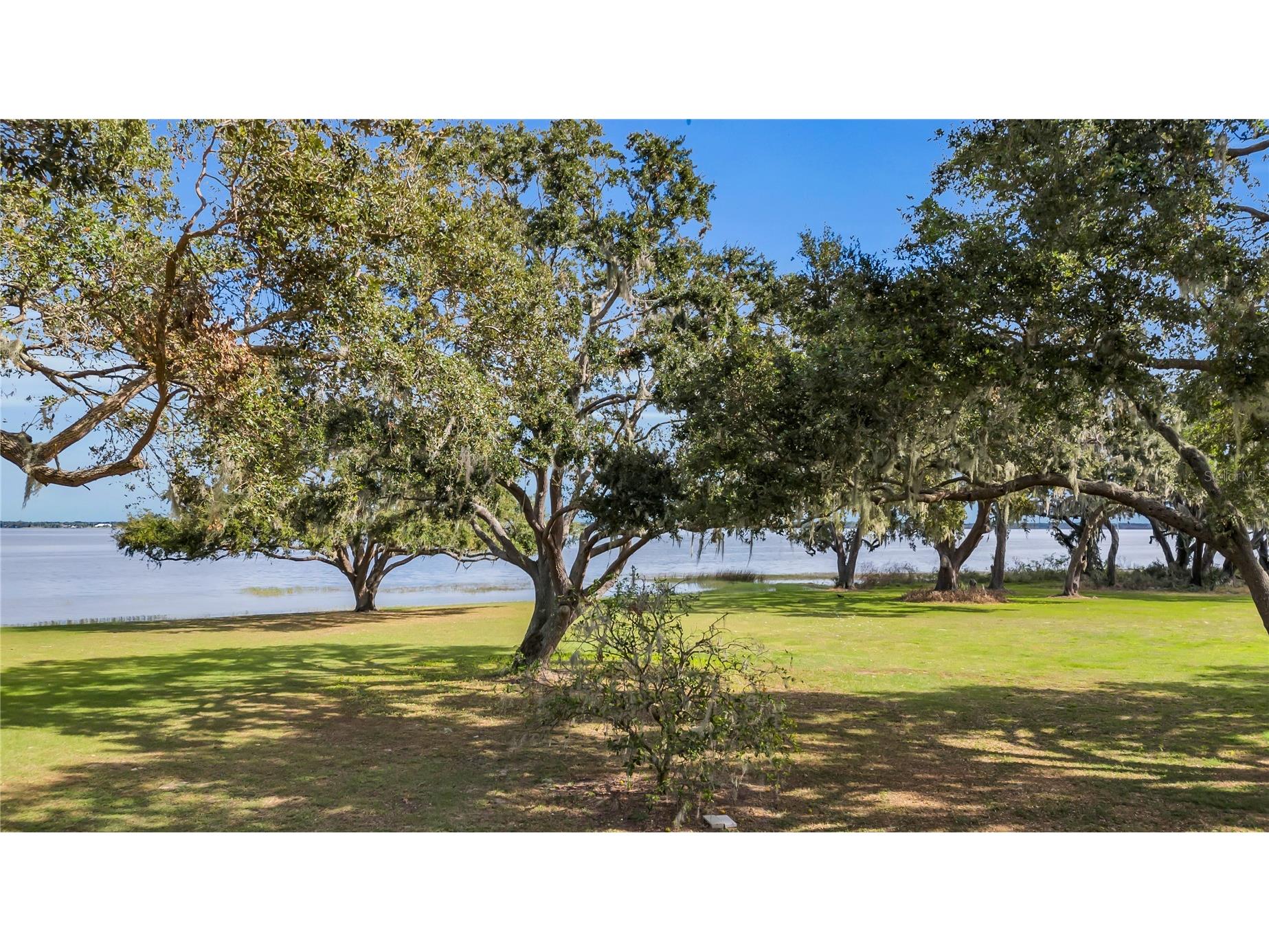 38230 Yale Circle Leesburg FL 34788 - YALE G5089826 image62