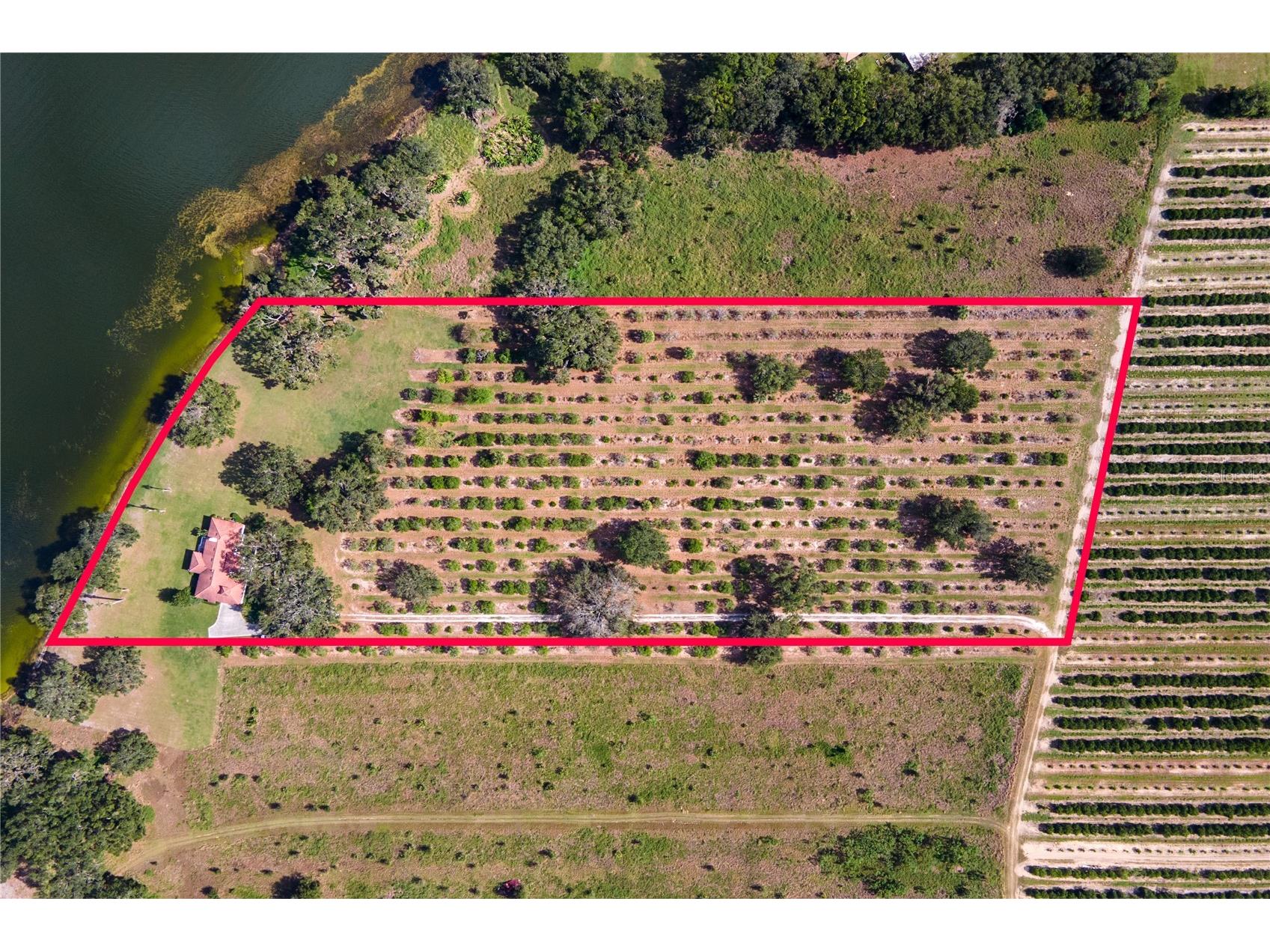 38230 Yale Circle Leesburg FL 34788 - YALE G5089826 image69