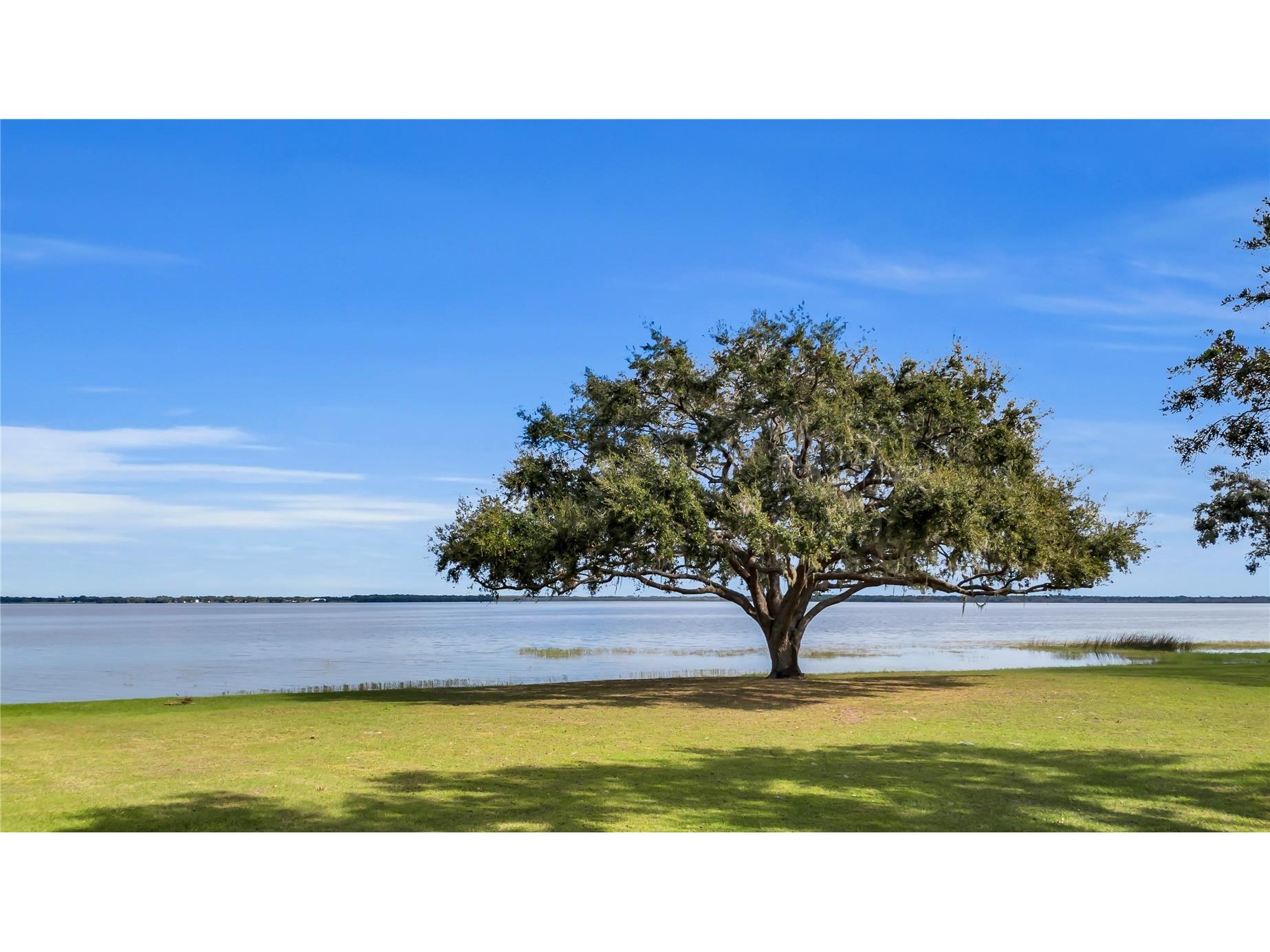 38230 Yale Circle Leesburg FL 34788 - YALE G5089826 image71