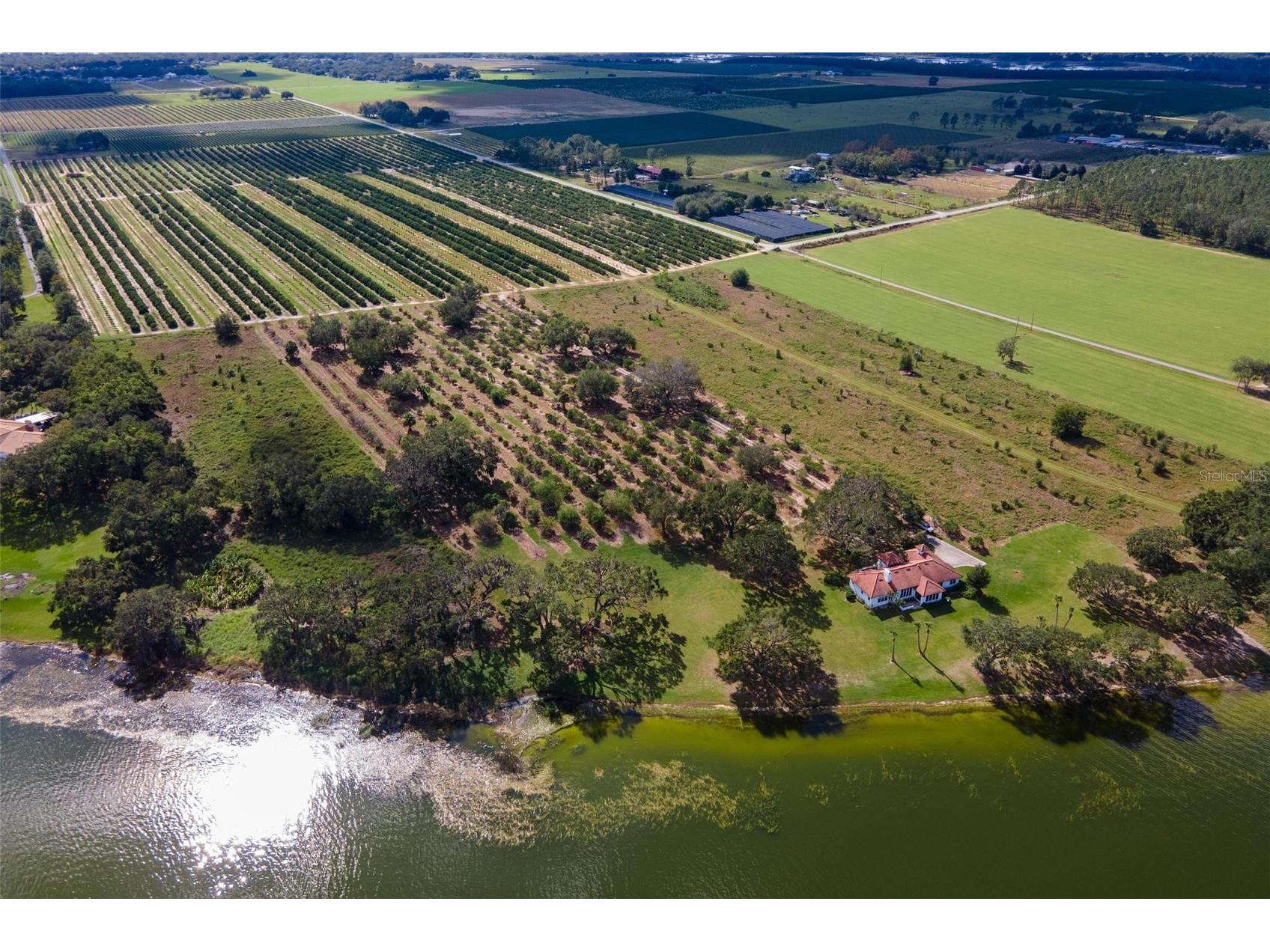 38230 Yale Circle Leesburg FL 34788 - YALE G5089826 image8