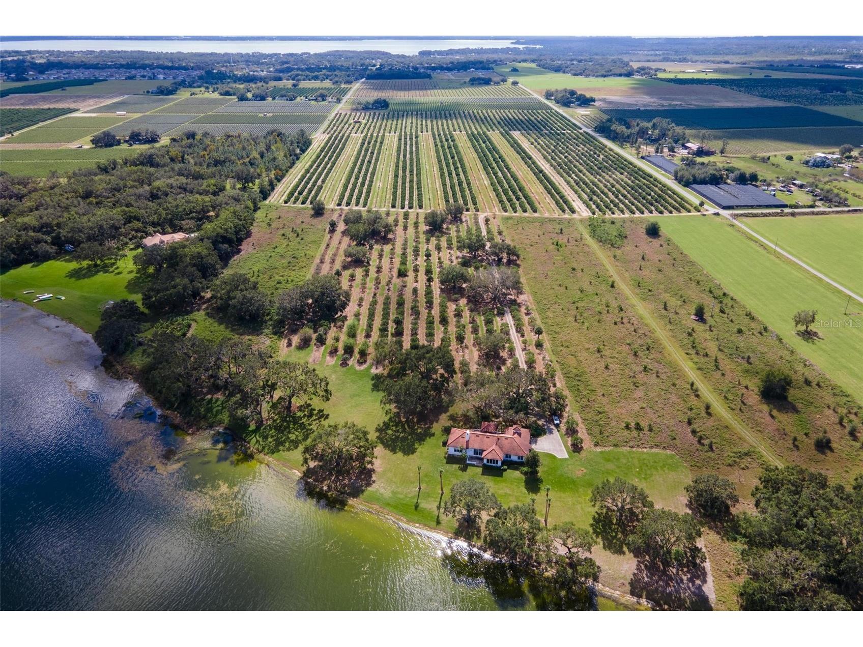 38230 Yale Circle Leesburg FL 34788 - LAKE YALE G5107816 image57