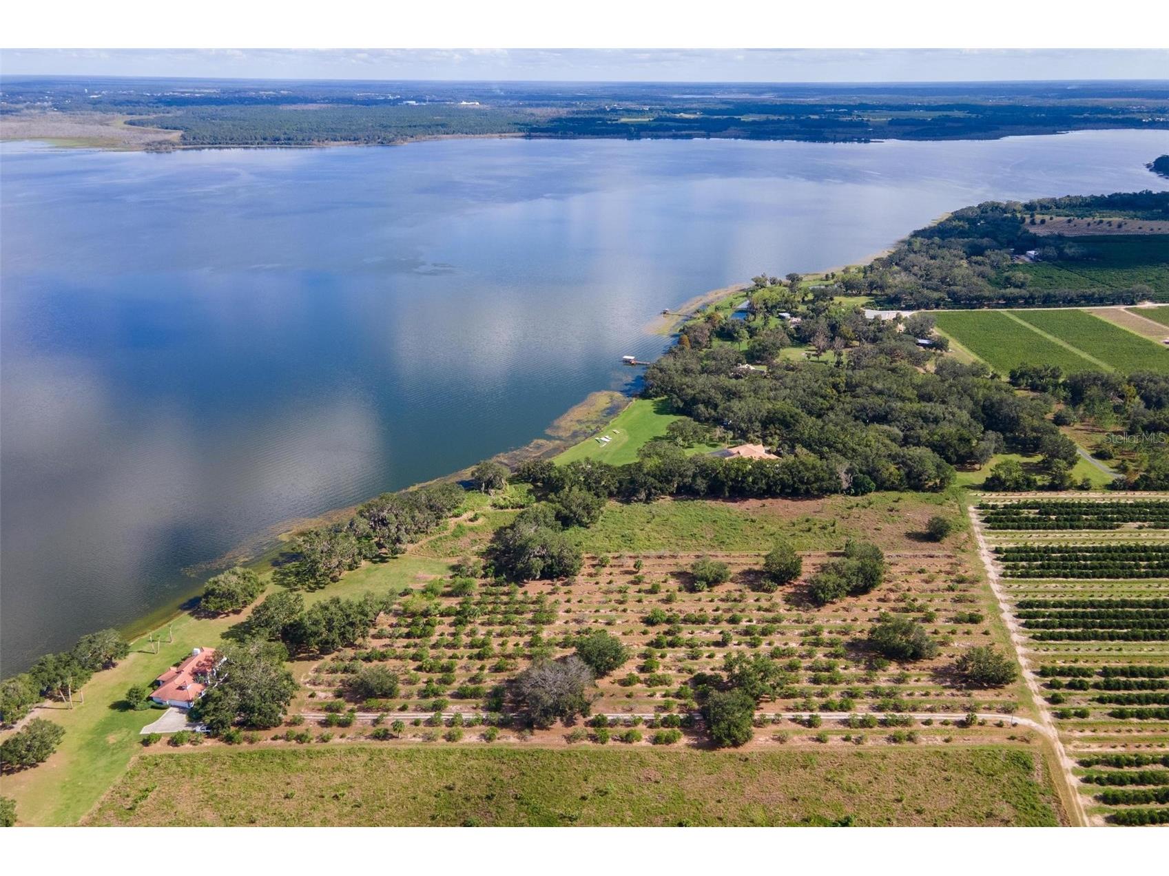 38230 Yale Circle Leesburg FL 34788 - LAKE YALE G5107816 image58