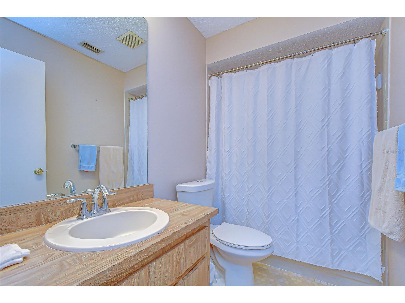 38235 Boxwood Drive #38235 Zephyrhills FL 33542 TB8511101 image22