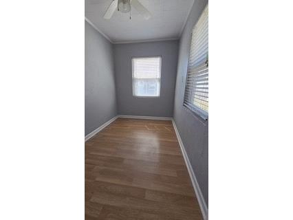 38236 Fir Avenue Zephyrhills FL 33542 TB8484584 image6