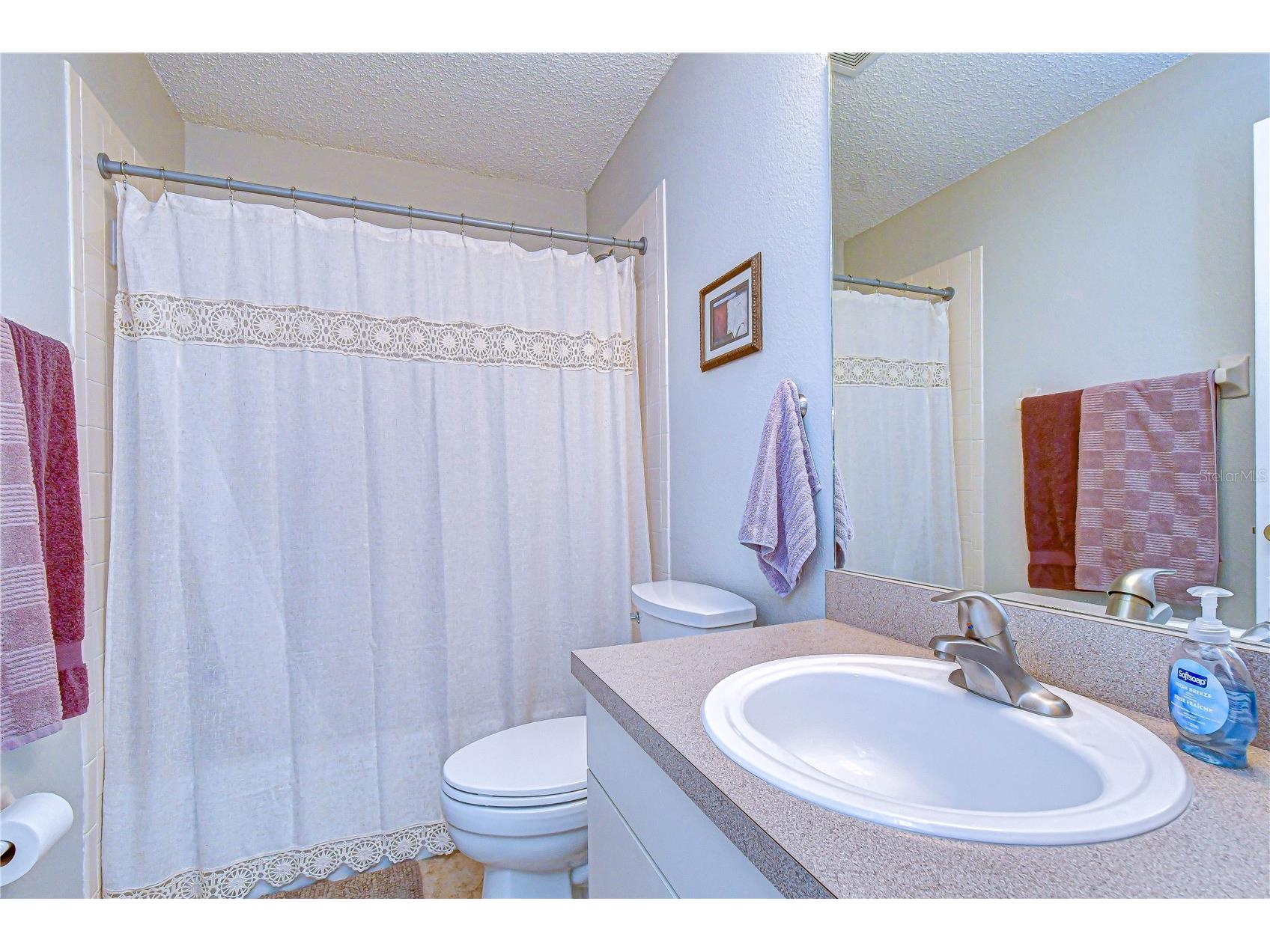 38237 Eucalyptus Drive Zephyrhills FL 33542 TB8494305 image33