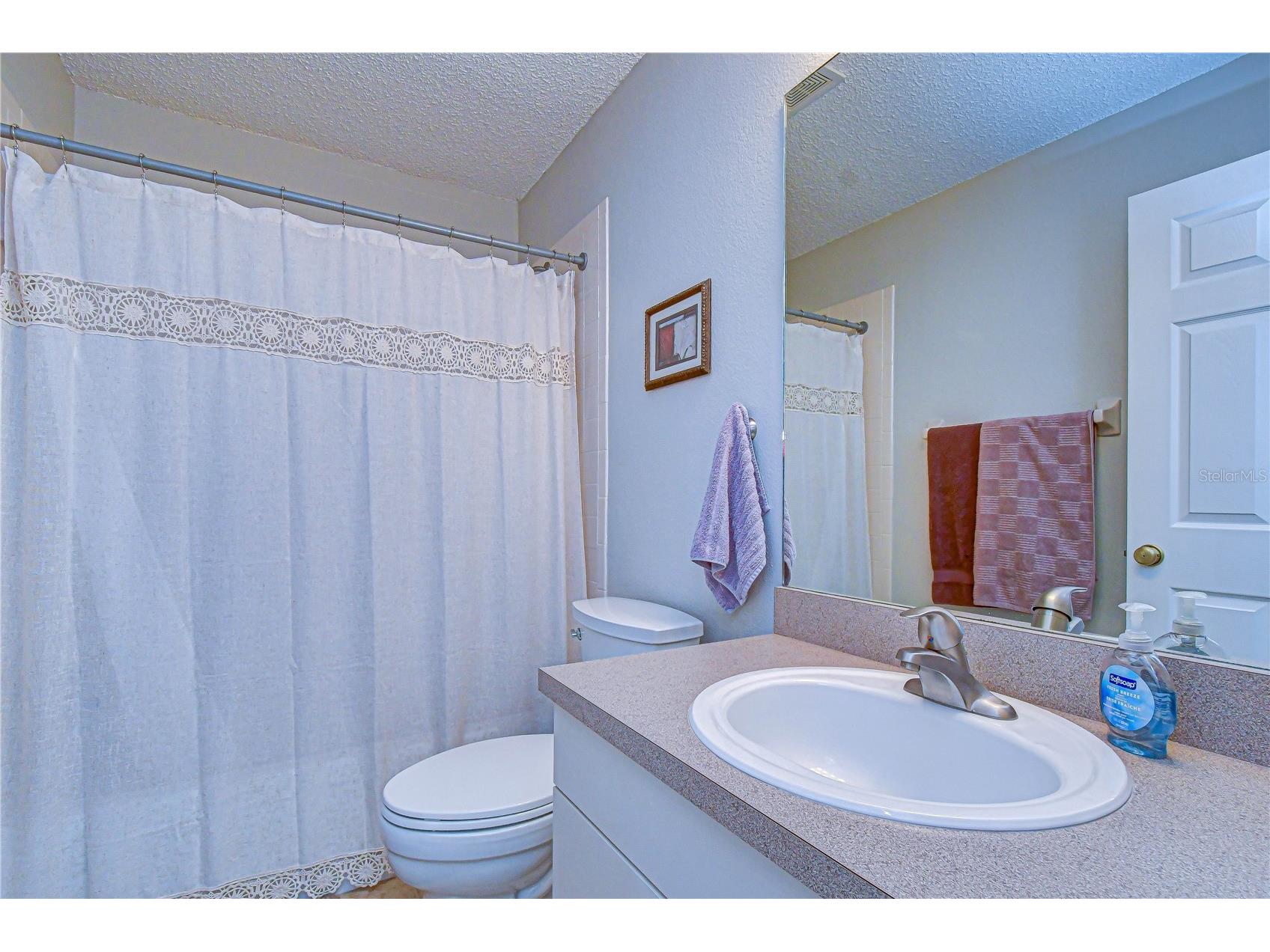 38237 Eucalyptus Drive Zephyrhills FL 33542 TB8494305 image34