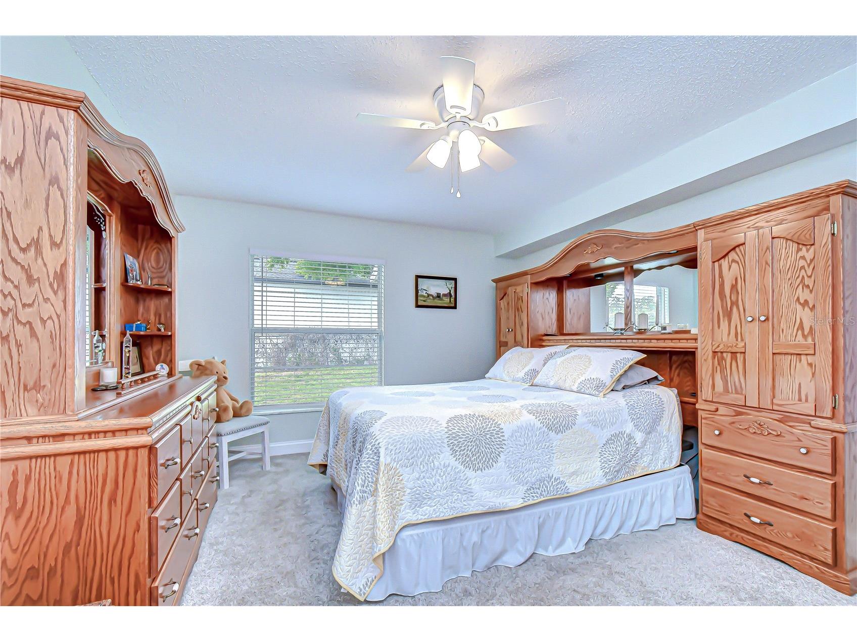 38237 Eucalyptus Drive Zephyrhills FL 33542 TB8494305 image35