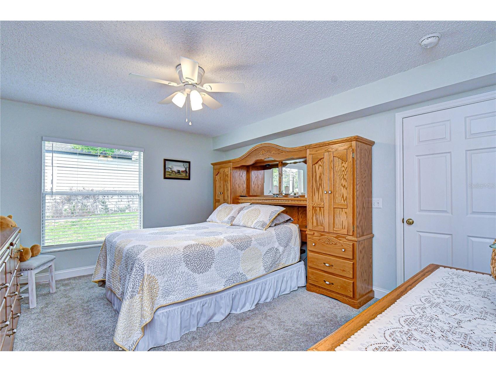 38237 Eucalyptus Drive Zephyrhills FL 33542 TB8494305 image36