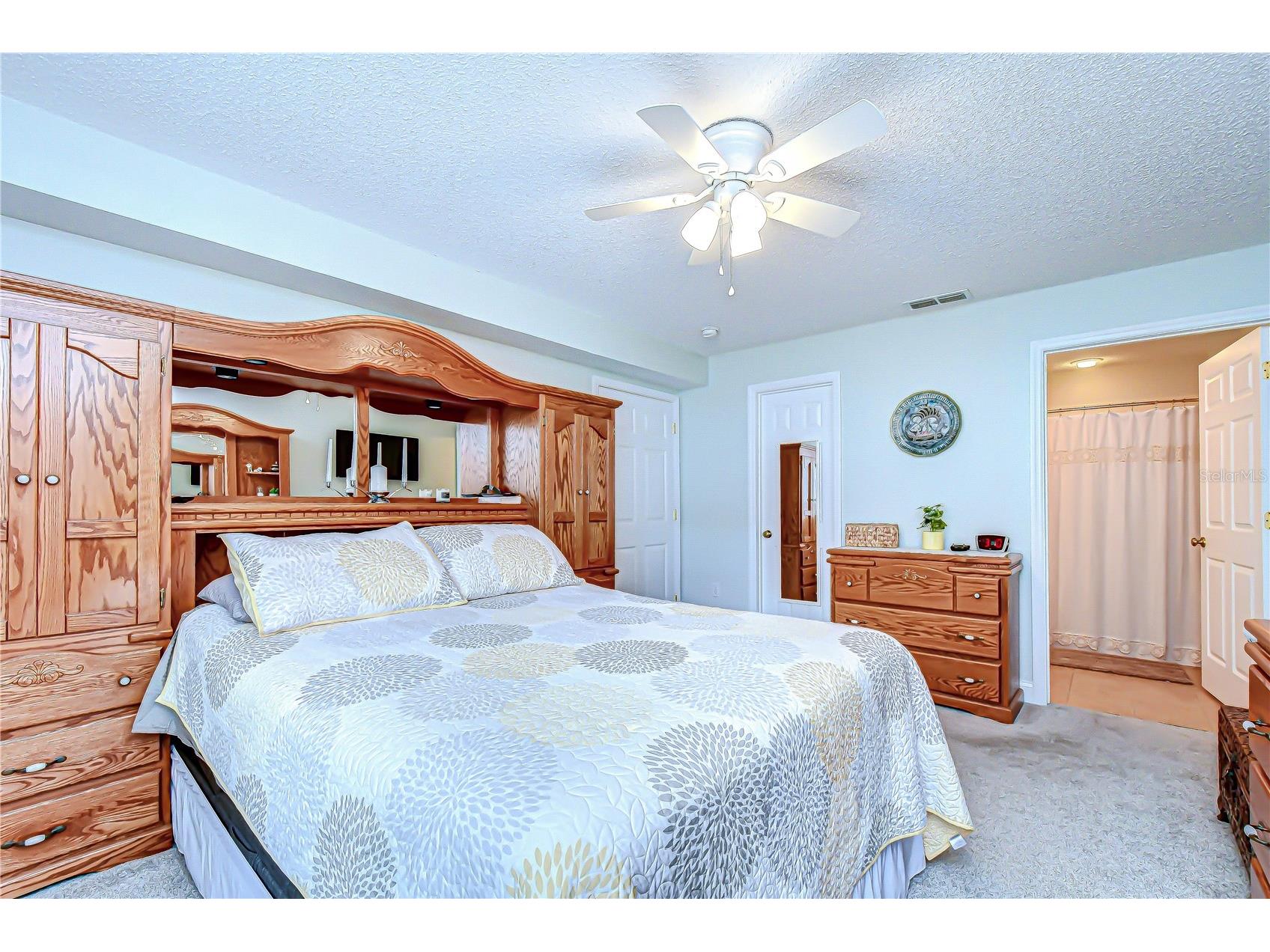 38237 Eucalyptus Drive Zephyrhills FL 33542 TB8494305 image38