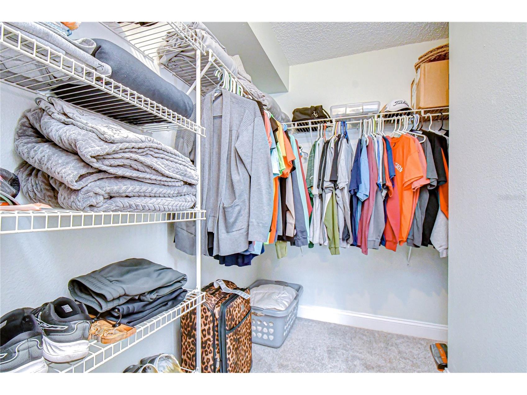 38237 Eucalyptus Drive Zephyrhills FL 33542 TB8494305 image41