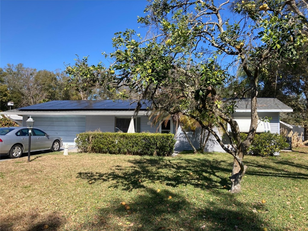 38239 Pear Court Zephyrhills FL 33542 T3355041 image1