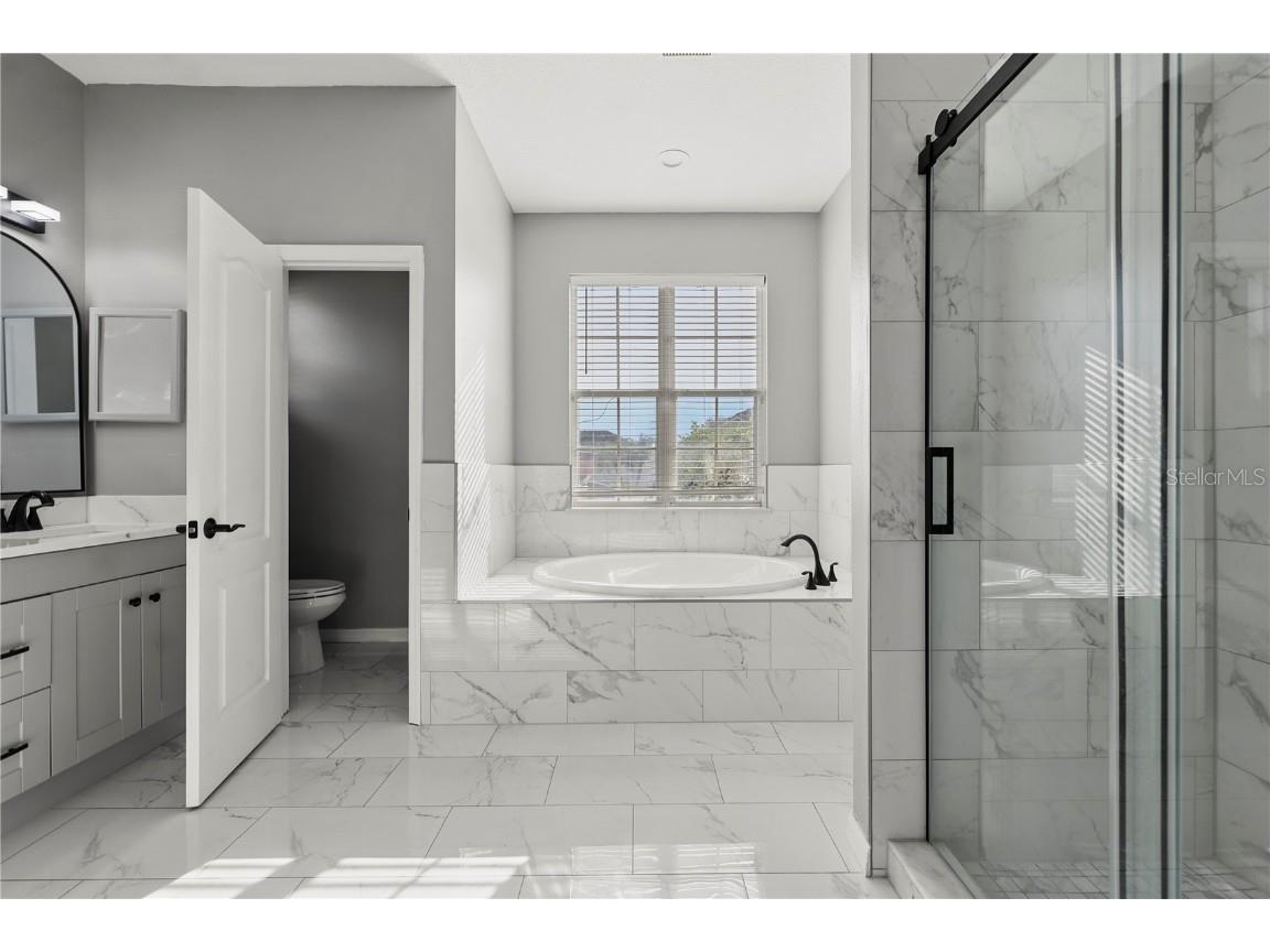 3824 Blue Dasher Drive Kissimmee FL 34744 O6314514 image22