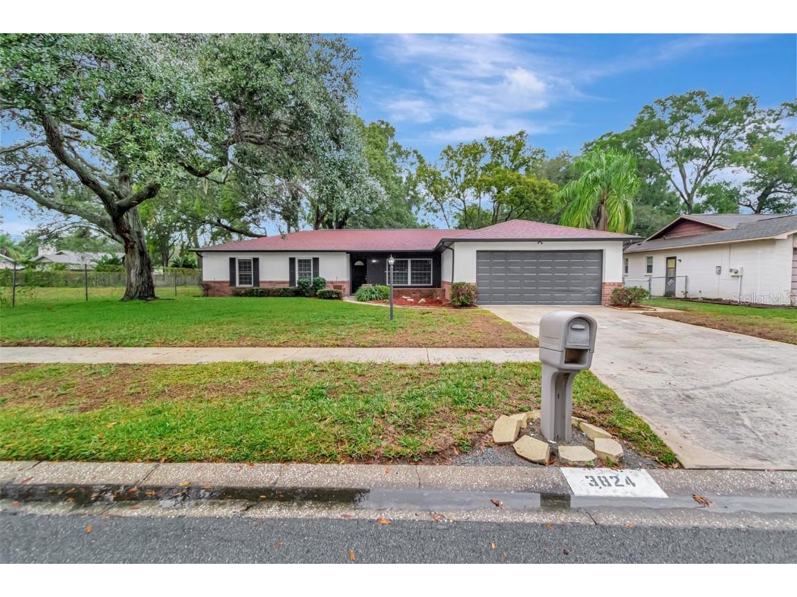3824 Highgate Drive Valrico FL 33594 T3494211 image1