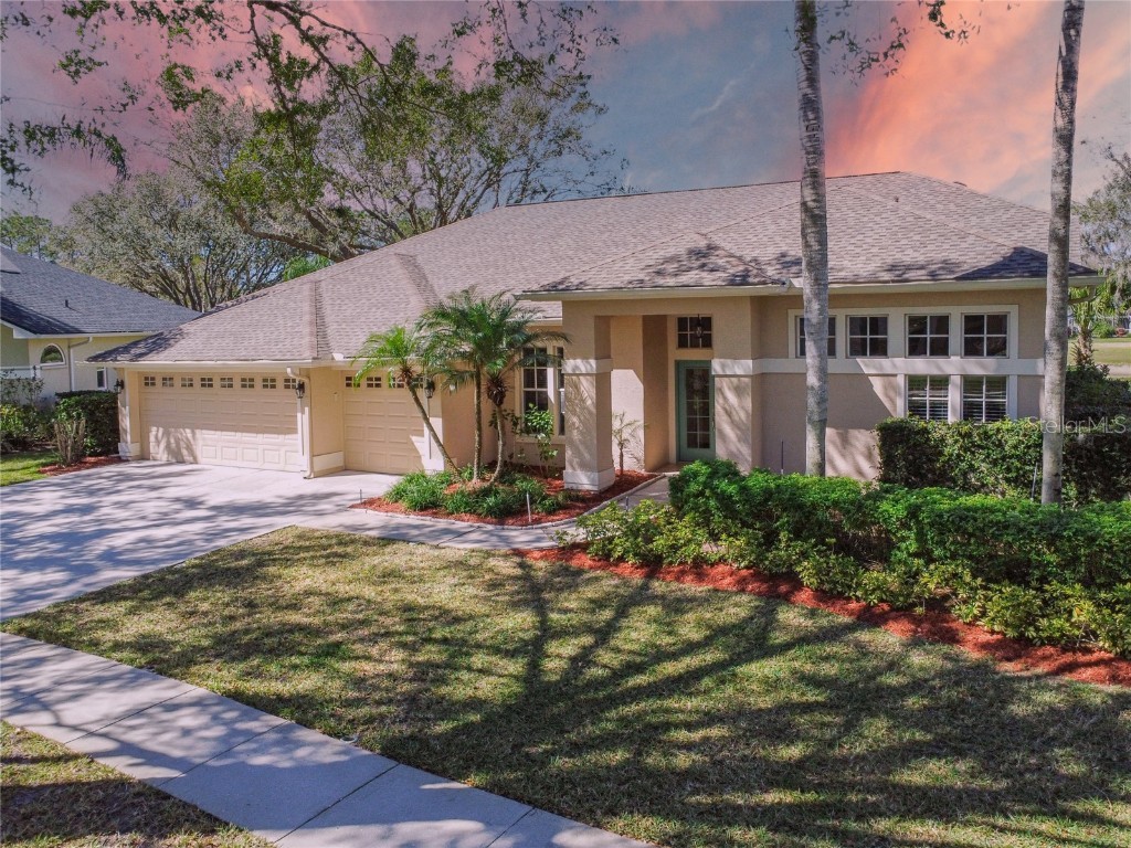 3824 Spruce Pine Drive Valrico FL 33596 T3431157 image1