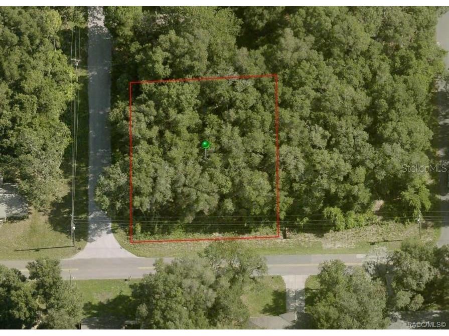 3825 E Dawson Drive Inverness FL 34453 OM675237 image1