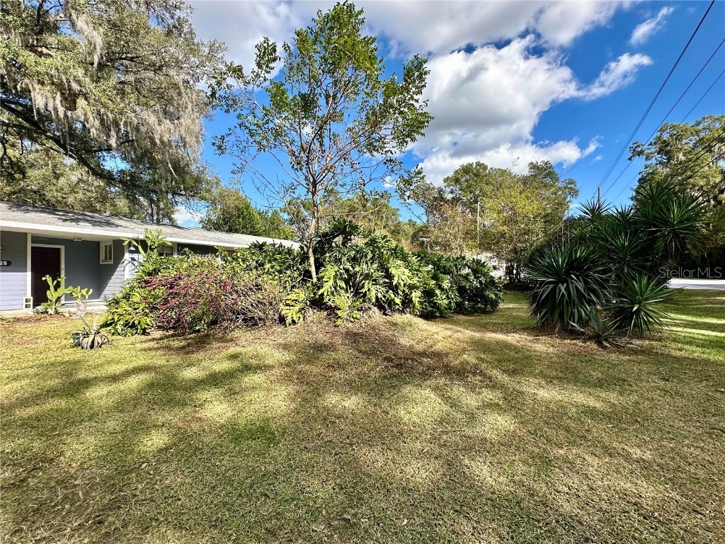 3825 SE 145th Street Summerfield FL 34491 OM713628 image25