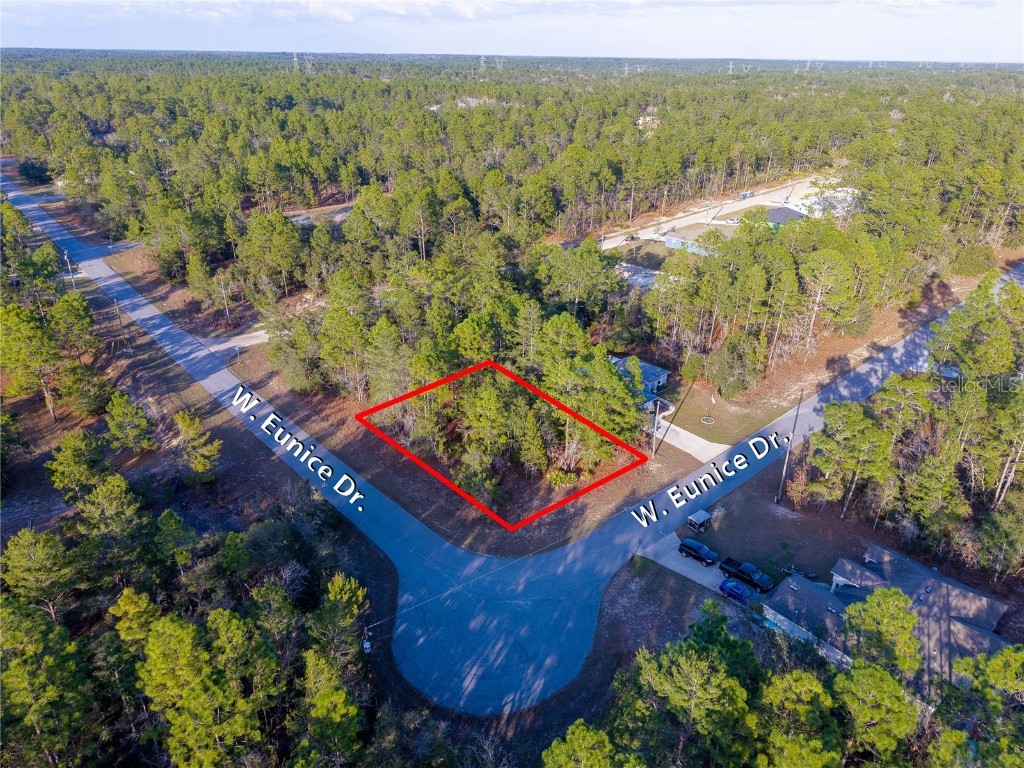 3825 W Eunice Drive Citrus Springs FL 34433 OM695228 image1