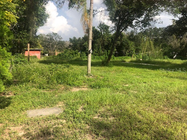 3826 Ford Street New Port Richey FL 34655 U8177651 image1