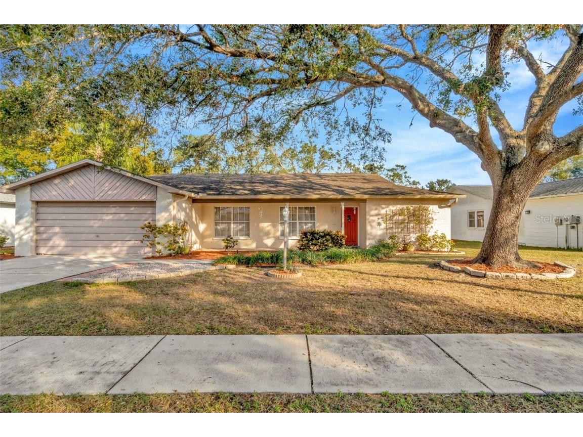 3826 Highgate Drive Valrico FL 33594 TB8334751 image1