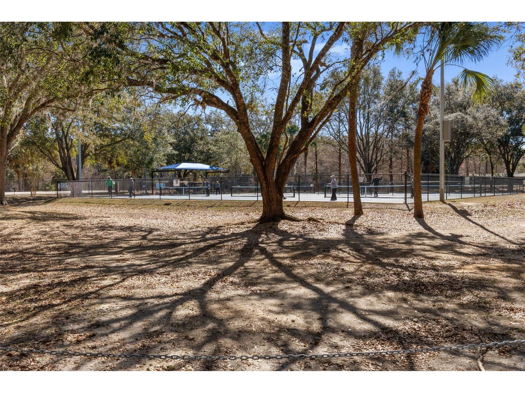 3826 N Briarberry Point Beverly Hills FL 34465 W7882756 image30