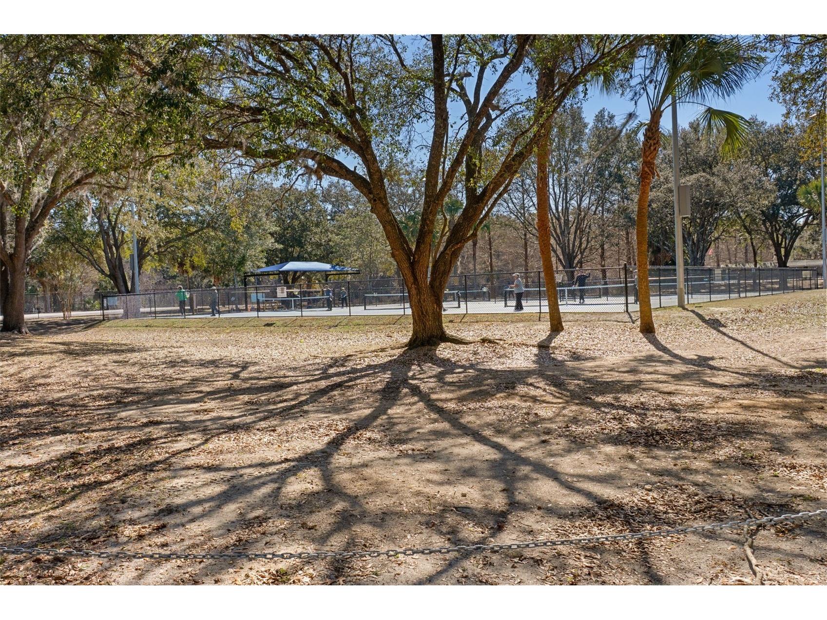 3826 N Briarberry Point Beverly Hills FL 34465 W7882756 image33