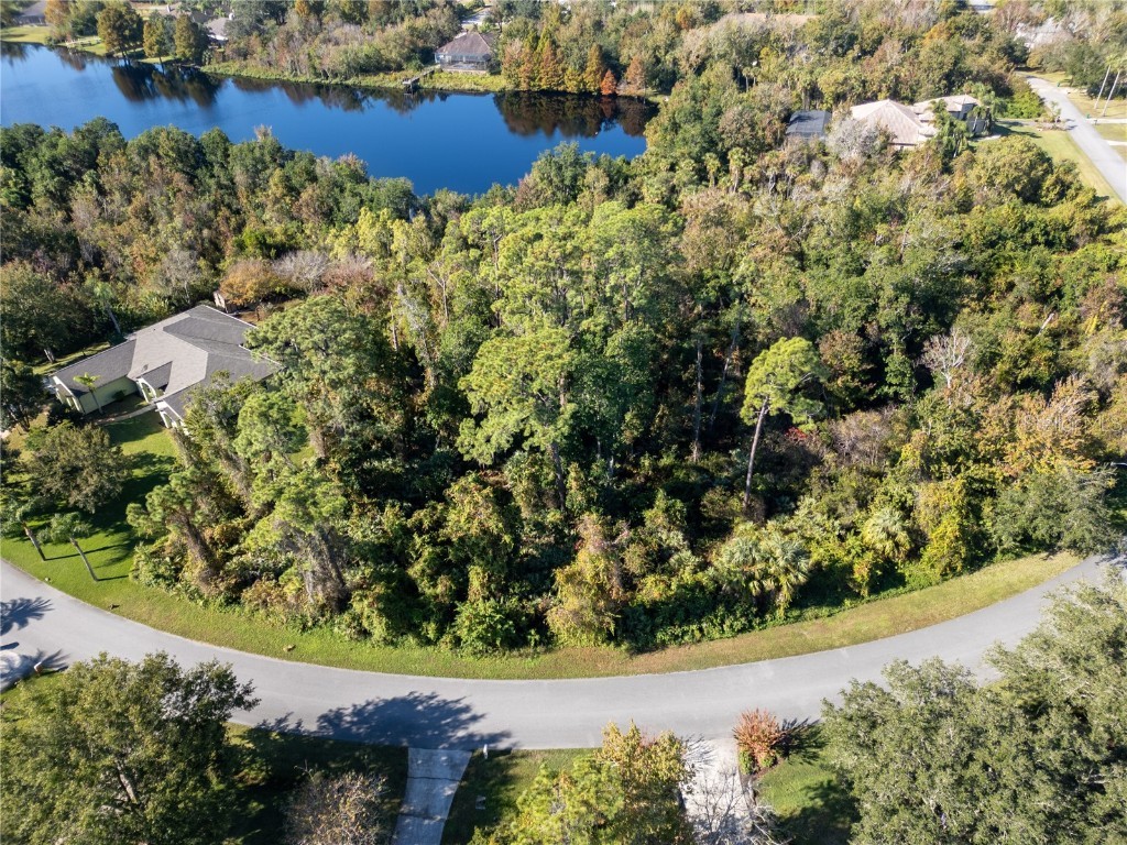 3827 Rambling Acres Dr Titusville FL 32796 O6364375 image3