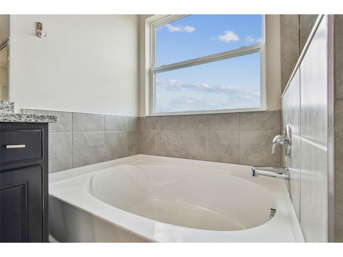 3827 Sunny Spring Street Plant City FL 33565 TB8451790 image35