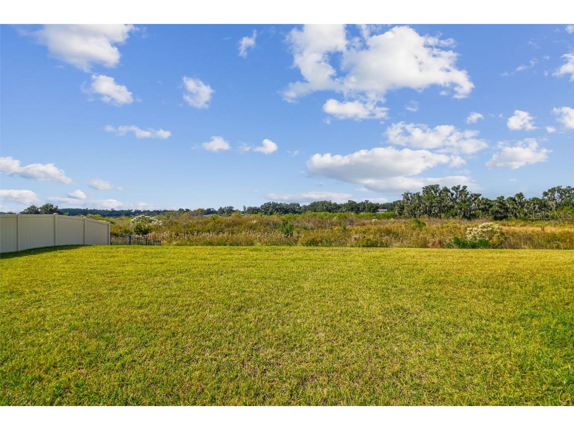 3827 Sunny Spring Street Plant City FL 33565 TB8451790 image43