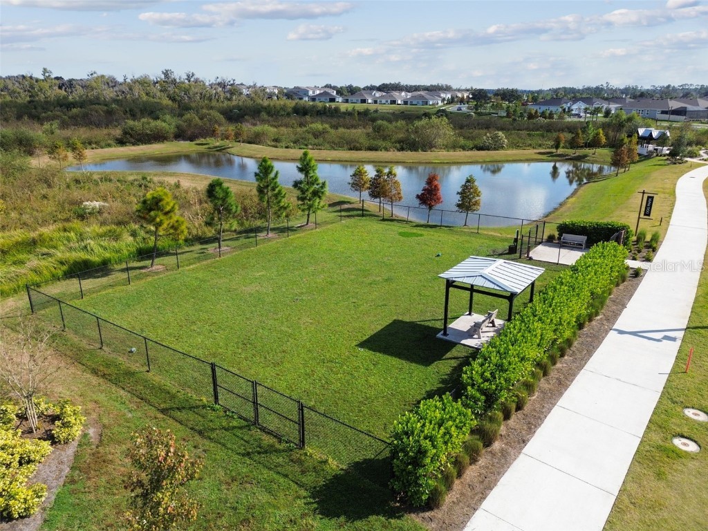 3827 Sunny Spring Street Plant City FL 33565 TB8451790 image53