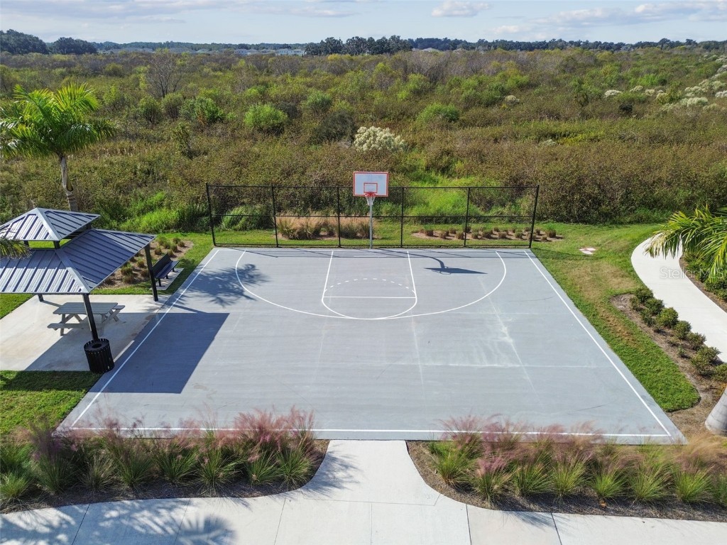 3827 Sunny Spring Street Plant City FL 33565 TB8451790 image56