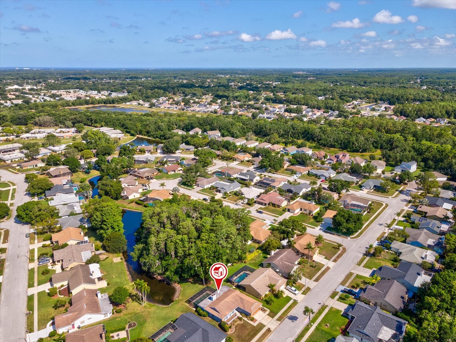 3827 Watson Drive New Port Richey FL 34655 TB8505881 image66