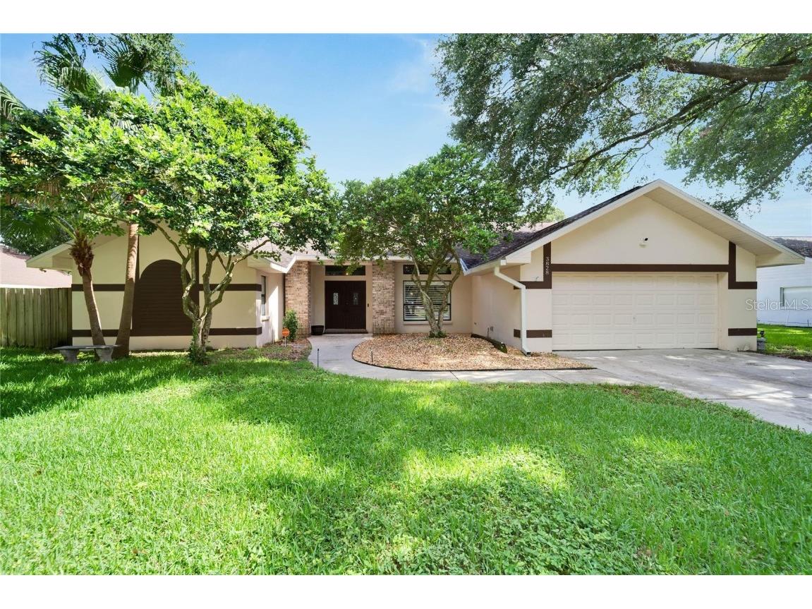 3828 Buckingham Loop Drive Valrico FL 33594 T3458081 image1