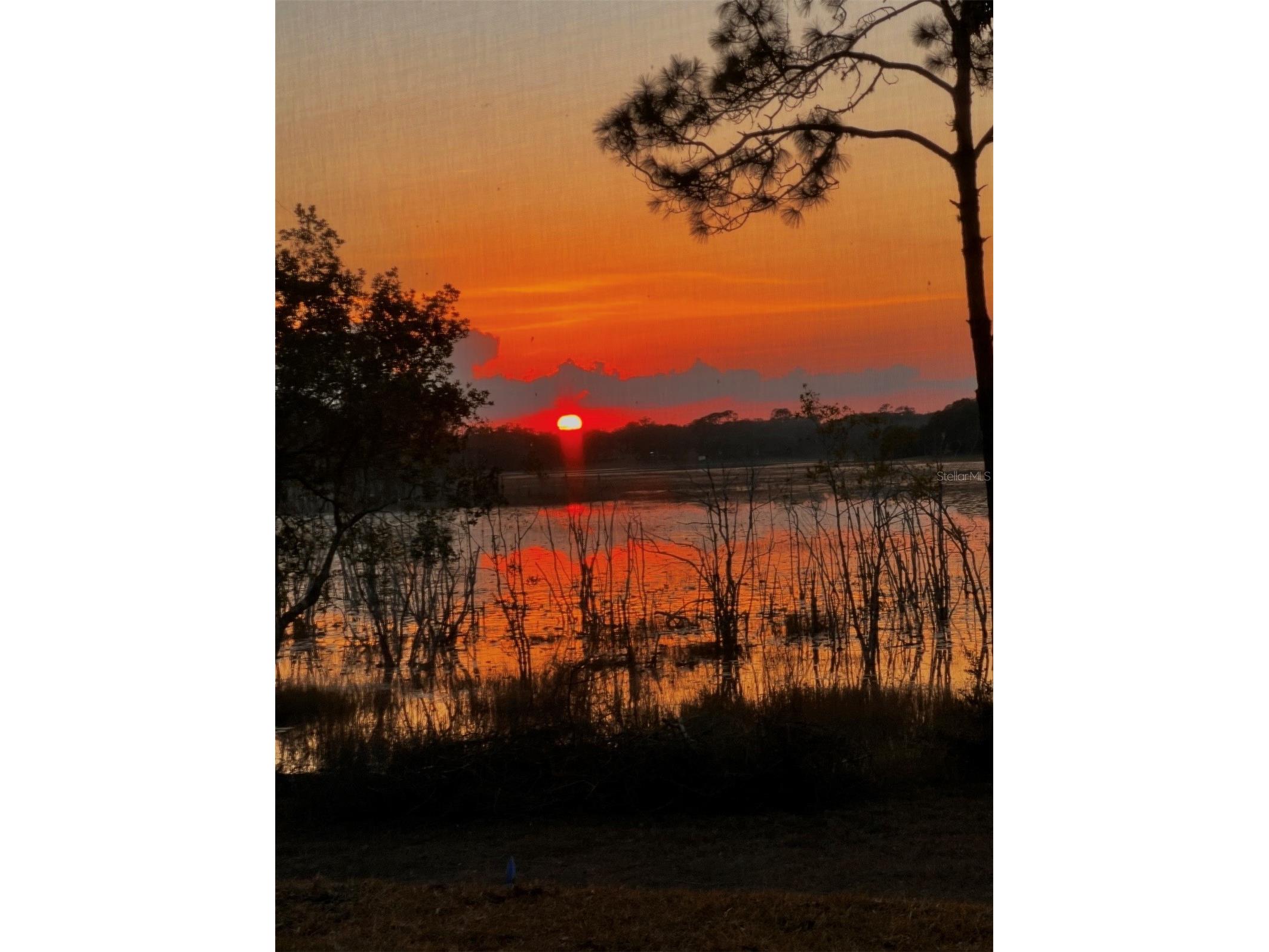 3828 Oak Pointe Drive Lady Lake FL 32159 G5114712 image10