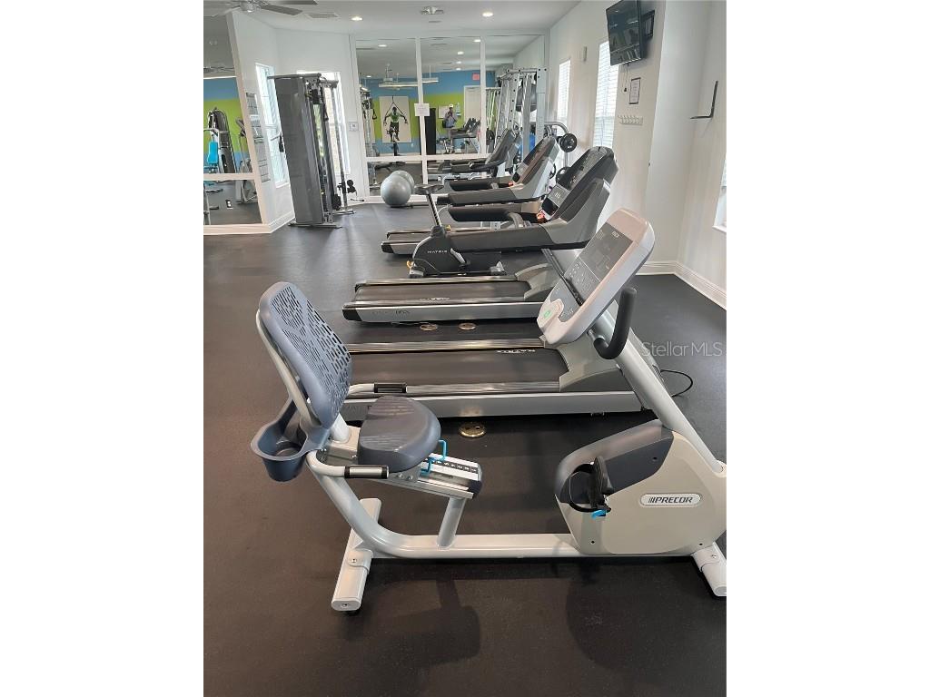 3828 Shimmering Oaks Drive Parrish FL 34219 A4665921 image43